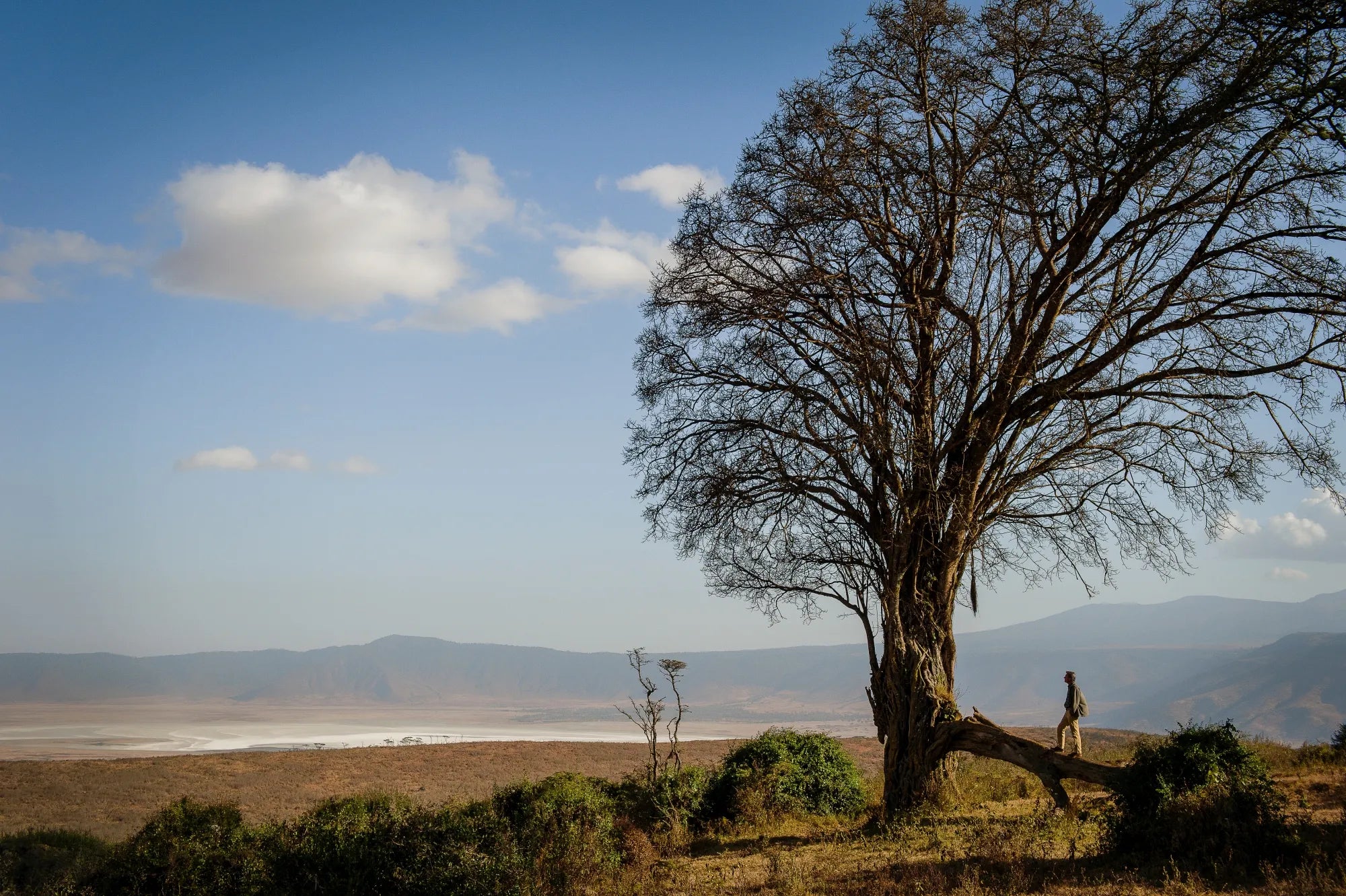 View from Entamanu Ngorongoro at Entamanu Ngorongoro, Ngorongoro Crater, Tanzania.