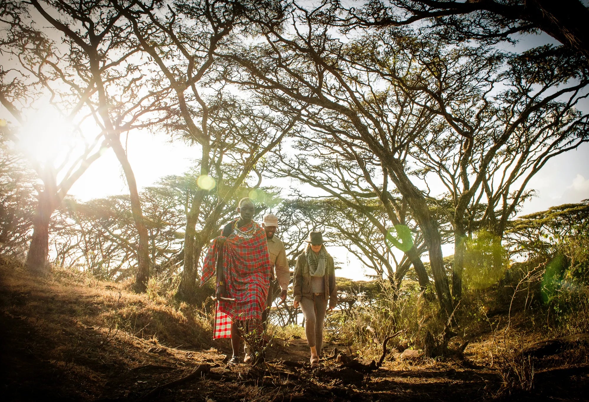 Walking in the highlands at Entamanu Ngorongoro, Ngorongoro Crater, Tanzania.