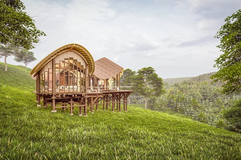 Erebero Hills - Main Area at Erebero Hills, Bwindi Impenetrable Forest National Park, Uganda.