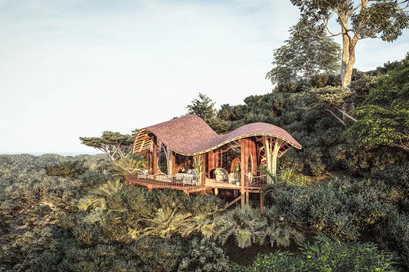 Erebero Hills - Suite Views at Erebero Hills, Bwindi Impenetrable Forest National Park, Uganda.