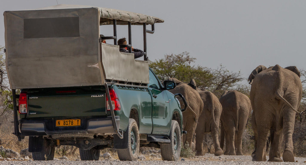 Etosha National Park Game Drive gallery image 2