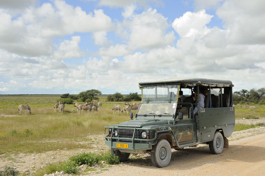 Full Day Game Drive gallery image 1