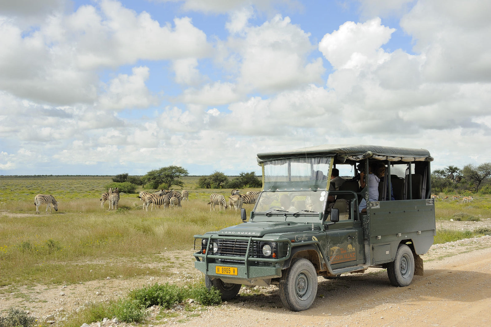 Full Day Game Drive