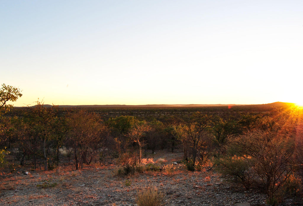 Sundowner Drive gallery image 3