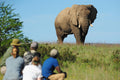 Guided Walking Safaris    gallery image 1
