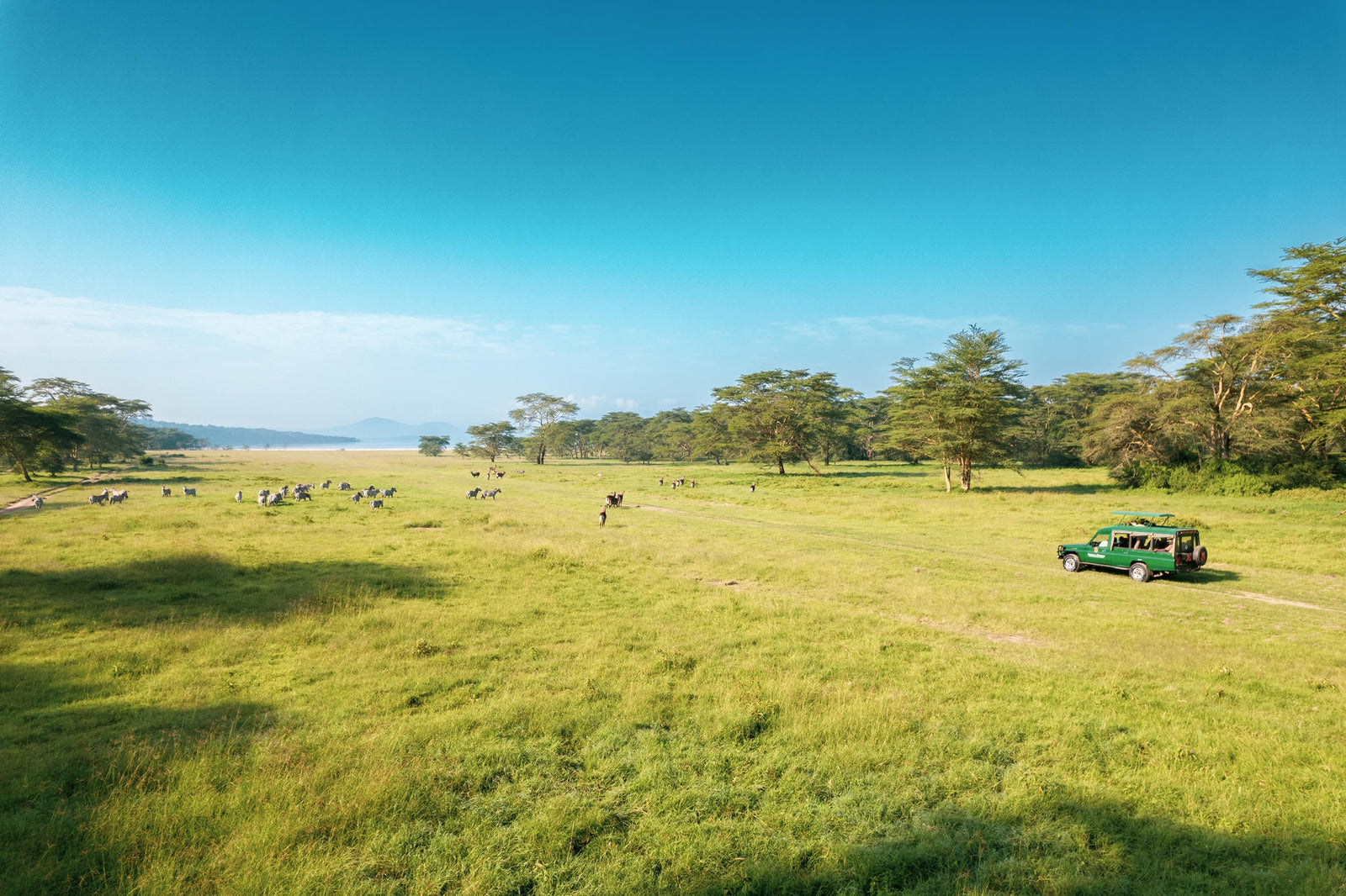 Day Game Drives