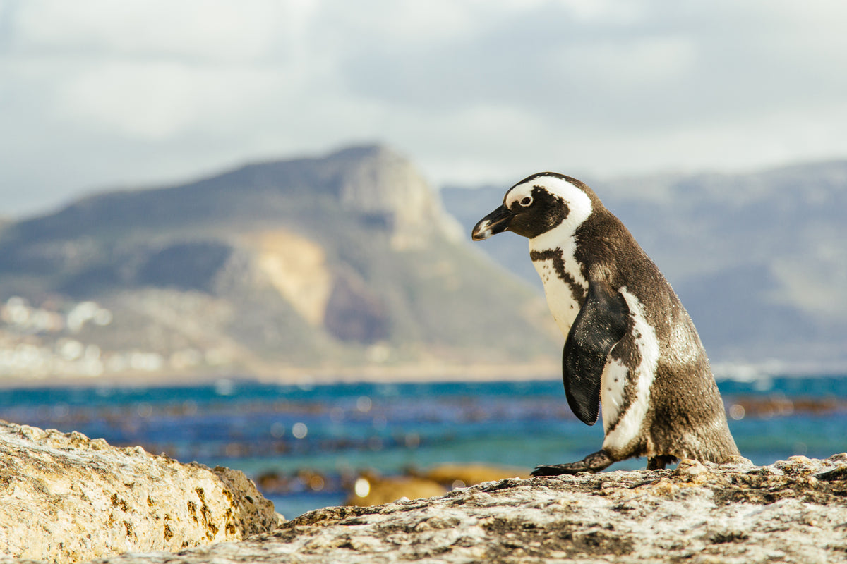 escape-explore-private-cape-adventures