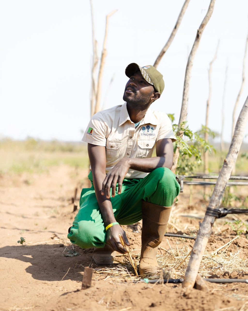 Visit the Mukuni Community Farm gallery image 3