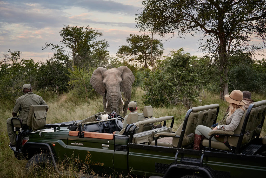 Game Drive with Elephants at Farmstead at Royal Malewane, Thornybush Game Reserve, South Africa.