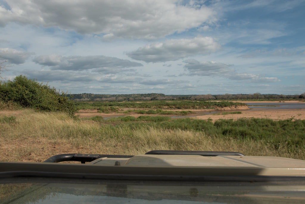 Game Drives in Gonarezhou National Park  gallery image 2