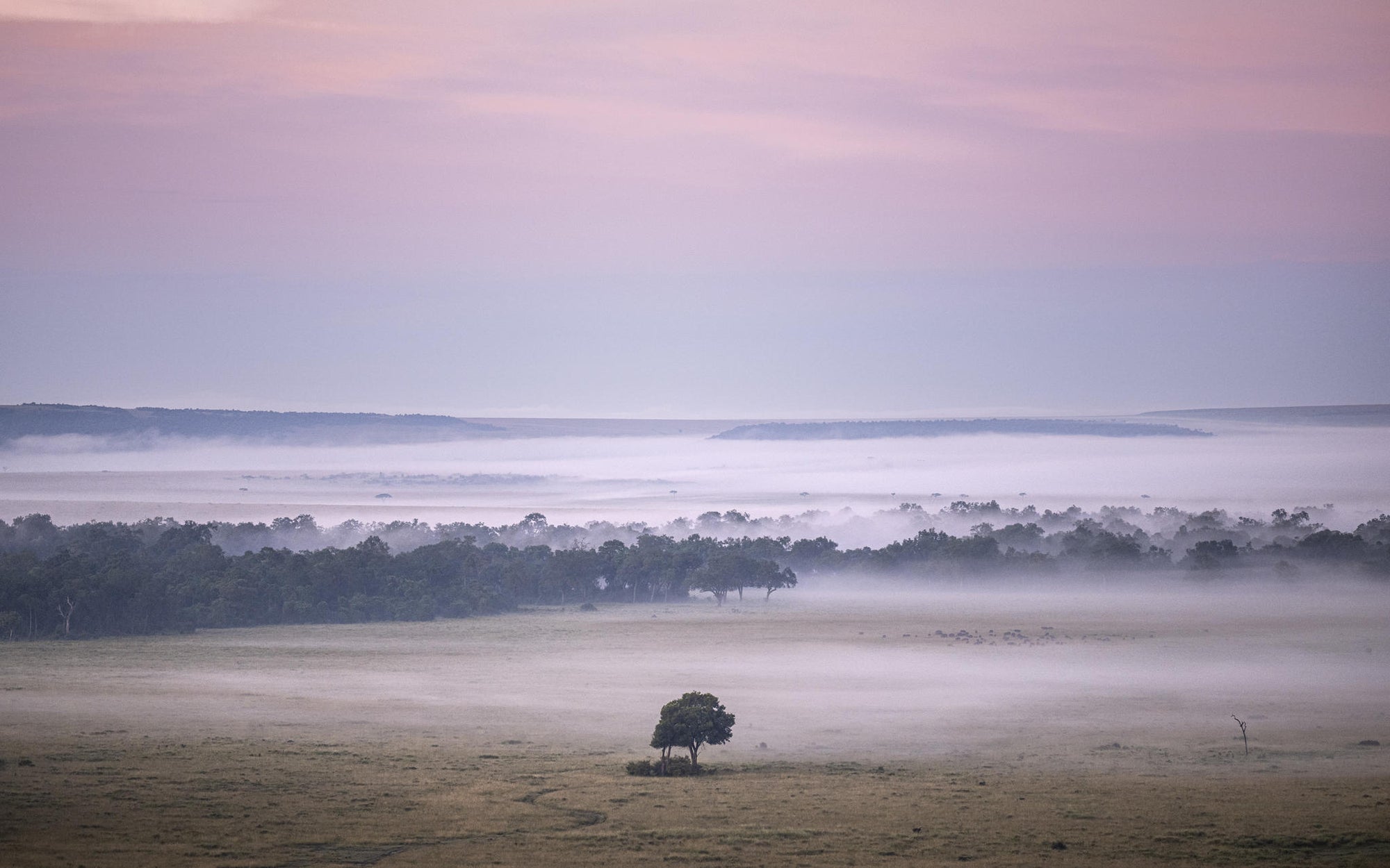 Hot Air Balloon Safaris  gallery image 12