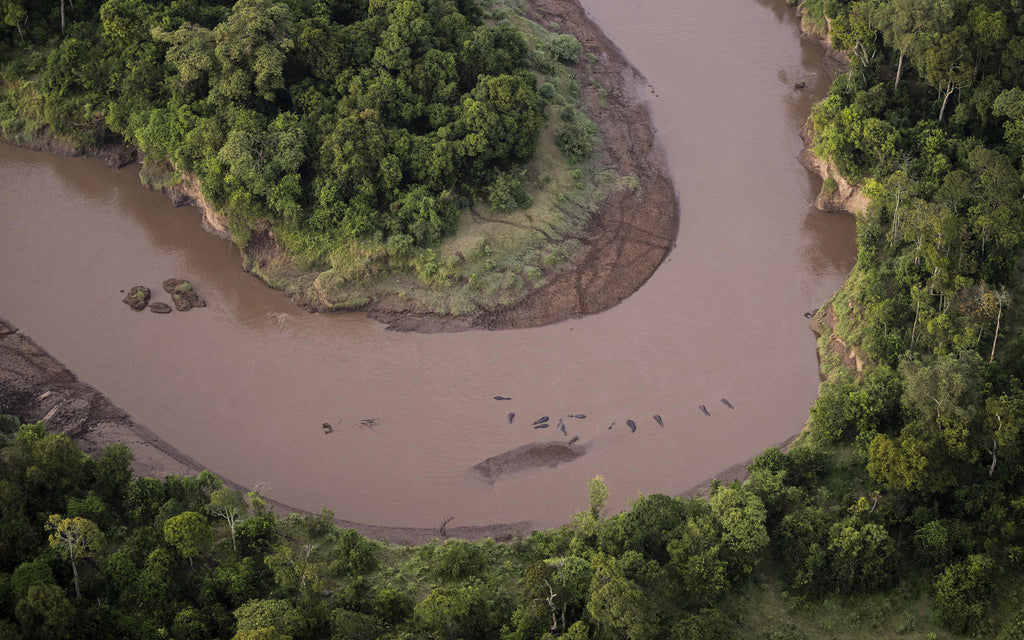 Hot Air Balloon Safaris  gallery image 14