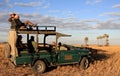 Game Drives  gallery image 1