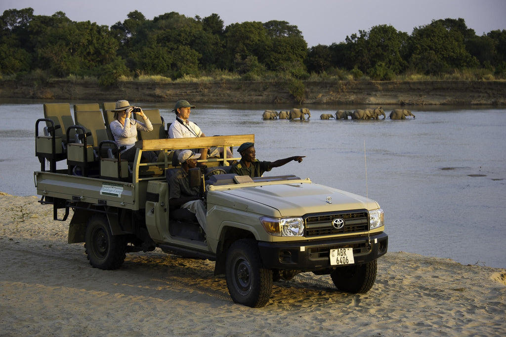 Morning Game drives gallery image 2