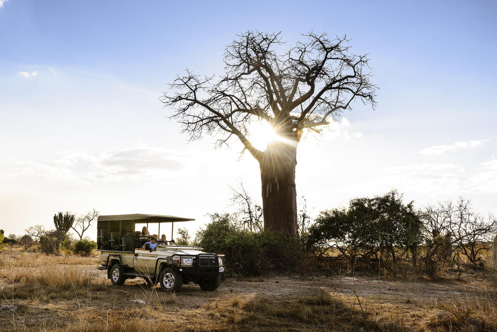 Game Drives gallery image 9
