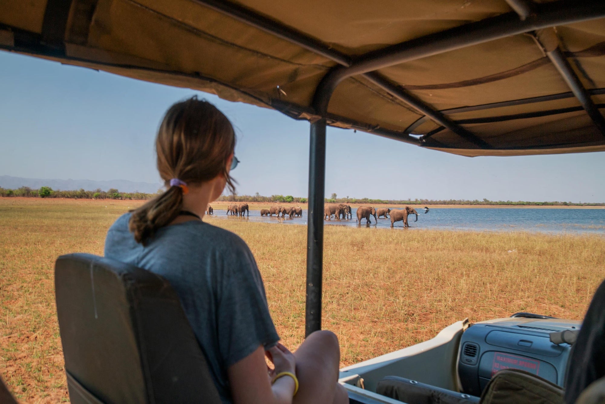 Game Drive gallery image 5