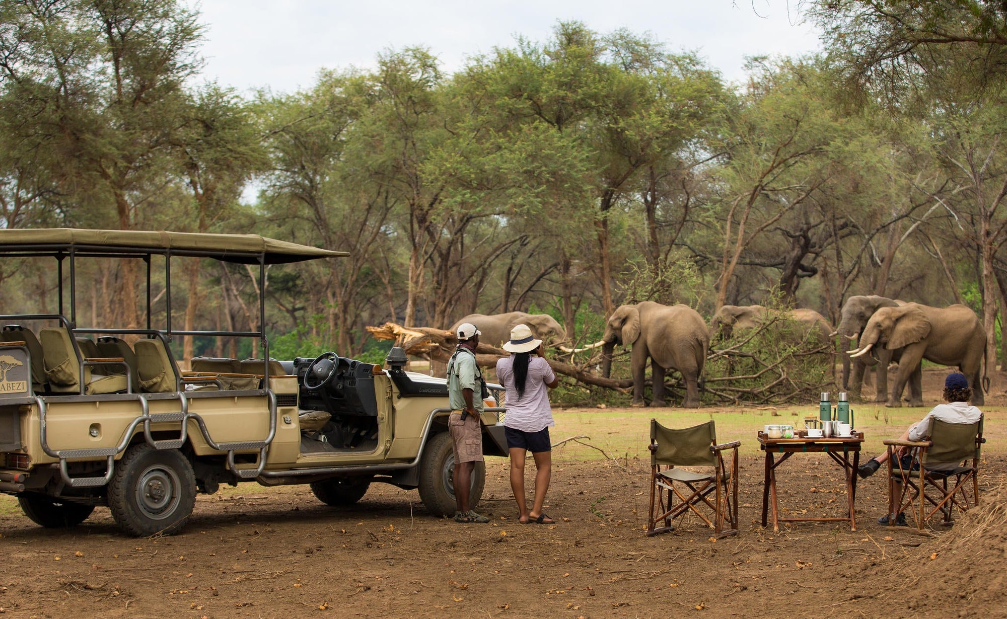 Game Drives gallery image 6
