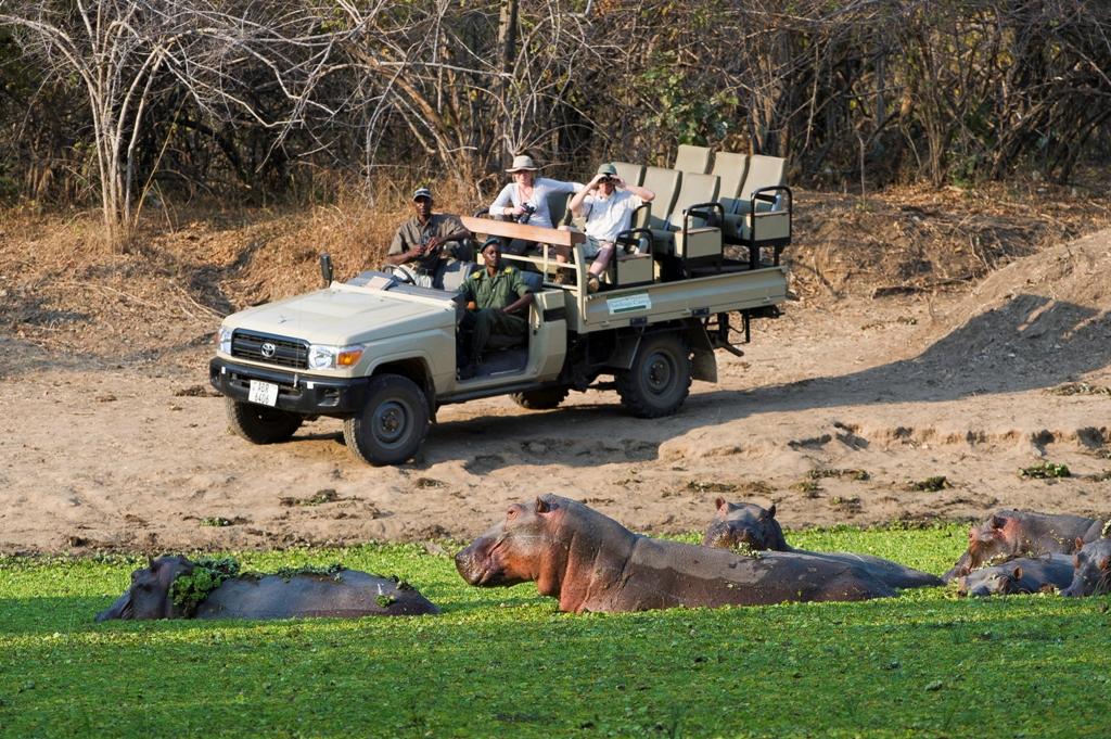 Morning Game drives gallery image 3