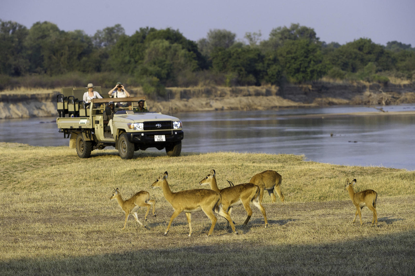 Morning Game drives