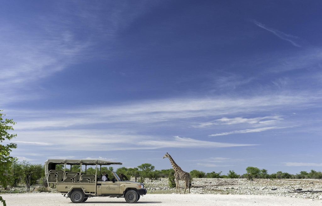 Etosha Game Drives gallery image 5