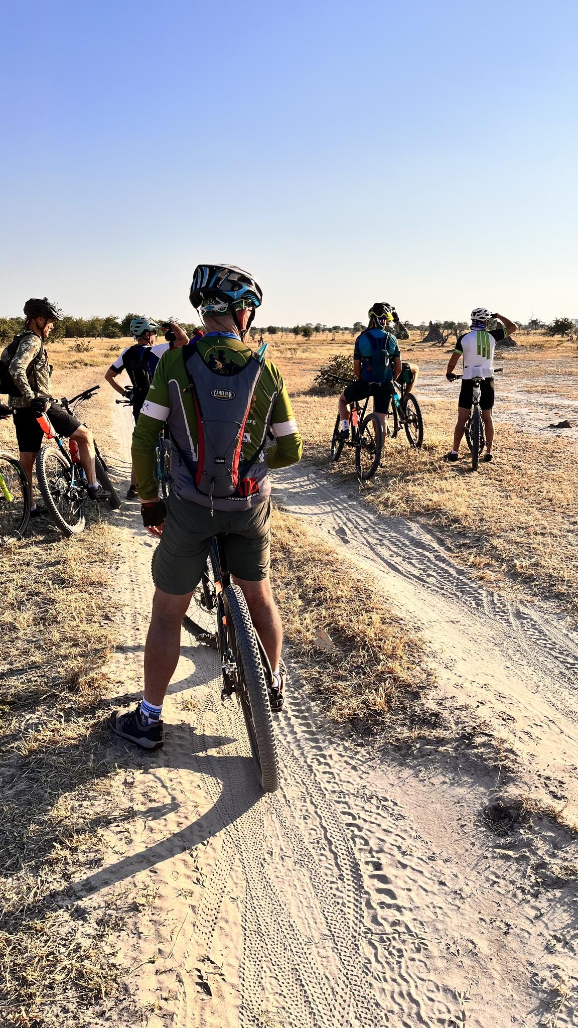 Fat Bikes gallery image 2