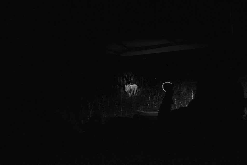 Wilderness Vumbura Plains – Night Drives gallery image 2