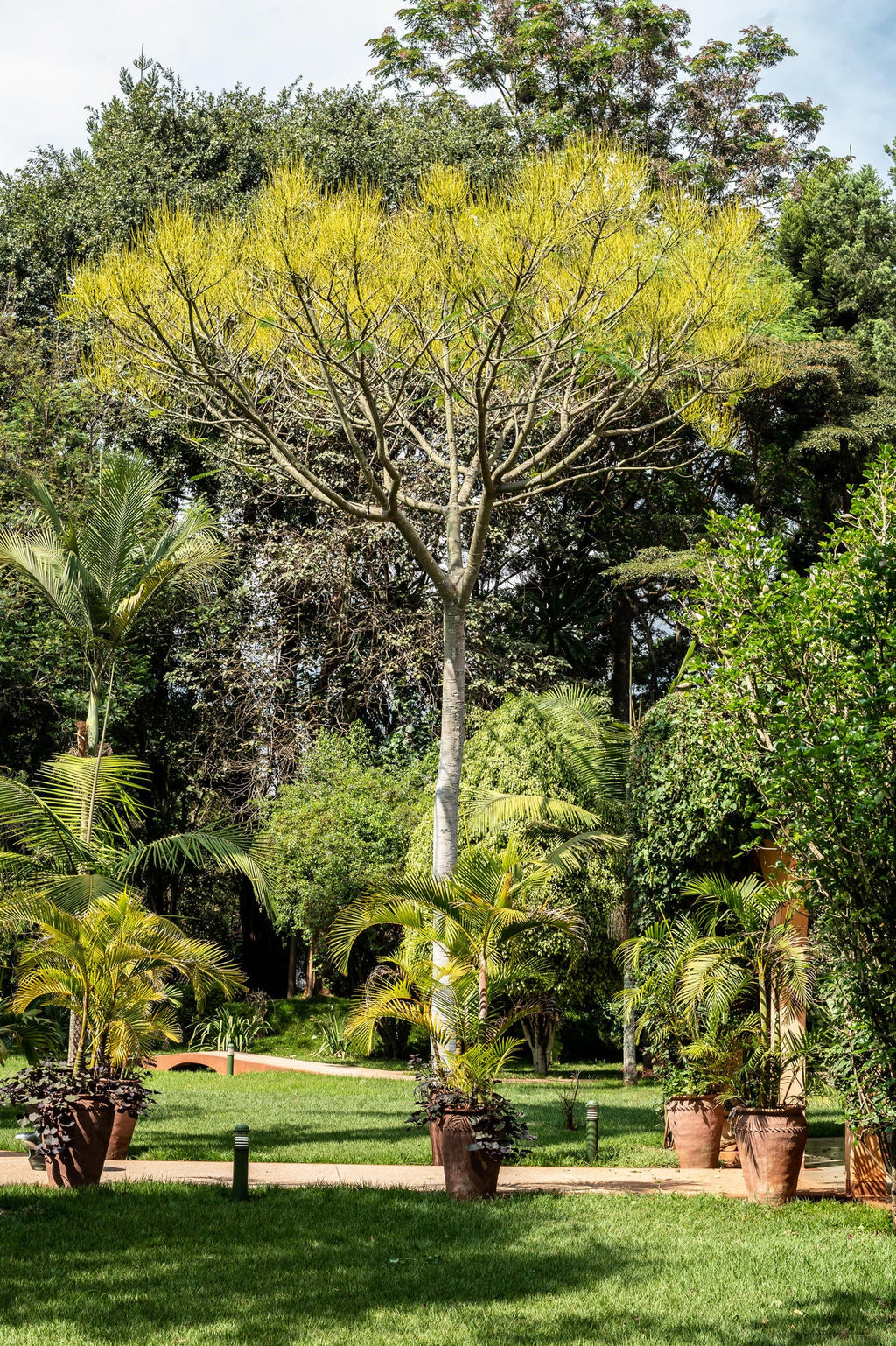 The garden gallery image 11