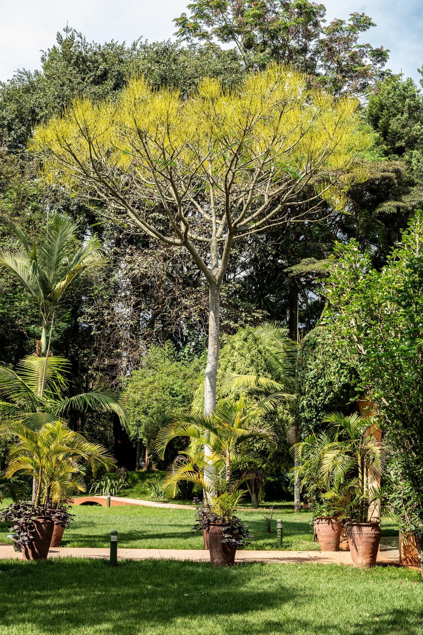 The garden gallery image 11
