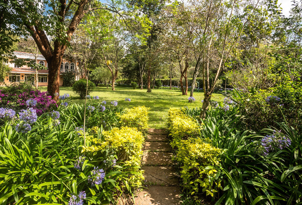 The garden gallery image 10