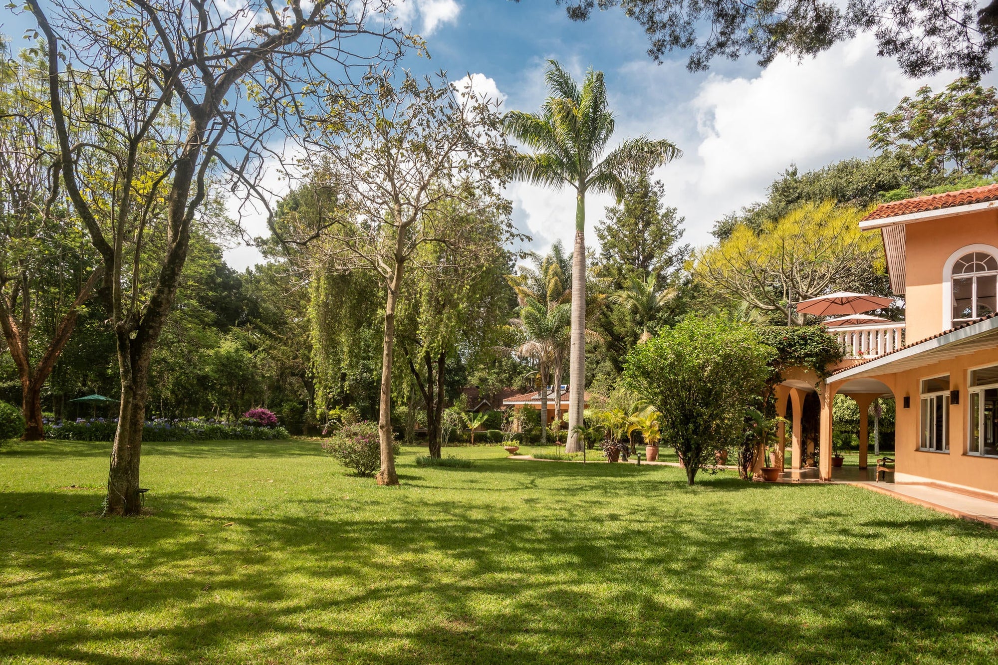 The garden gallery image 5