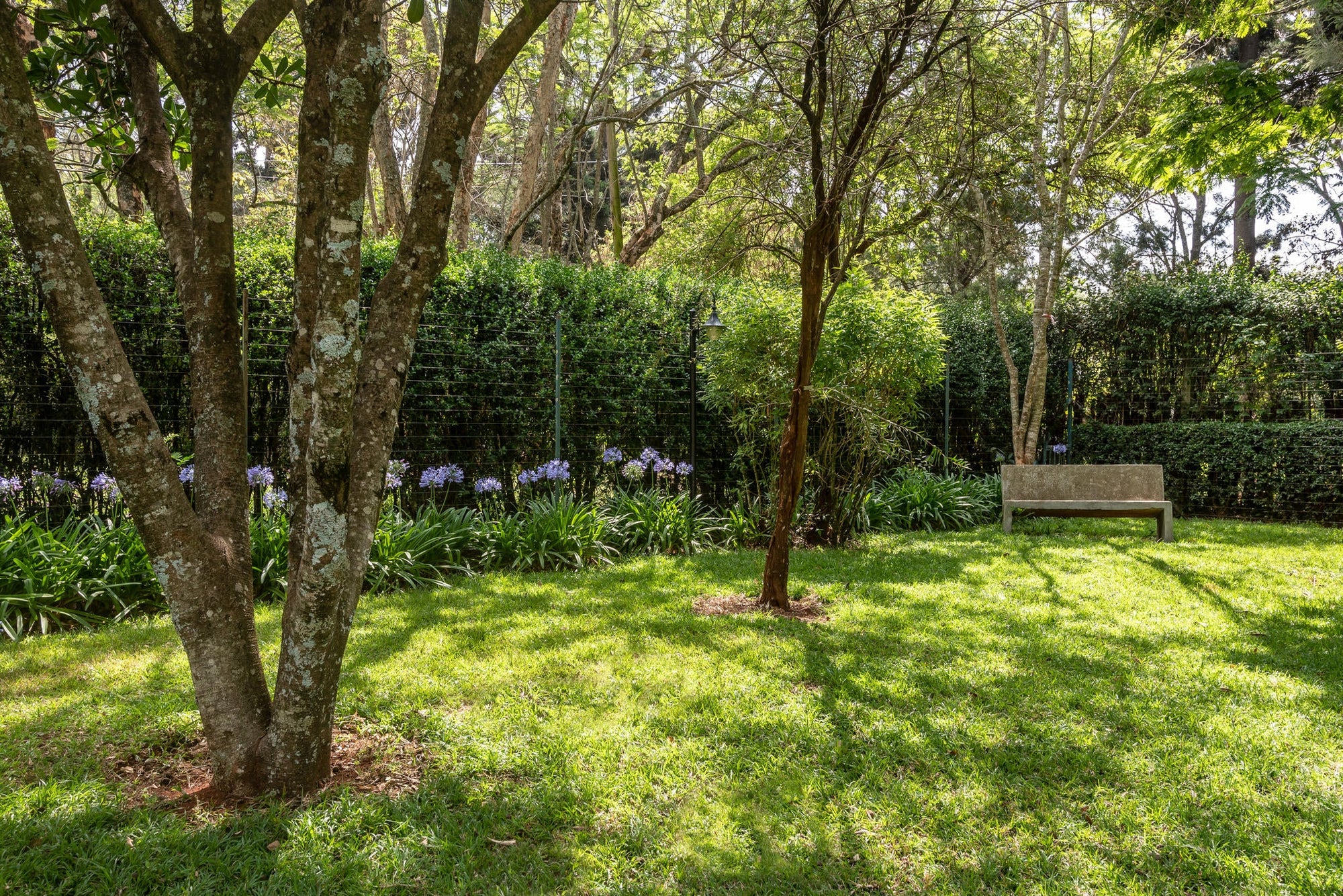 The garden gallery image 12