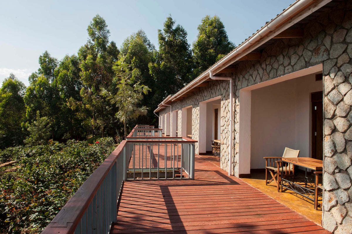Garden View room