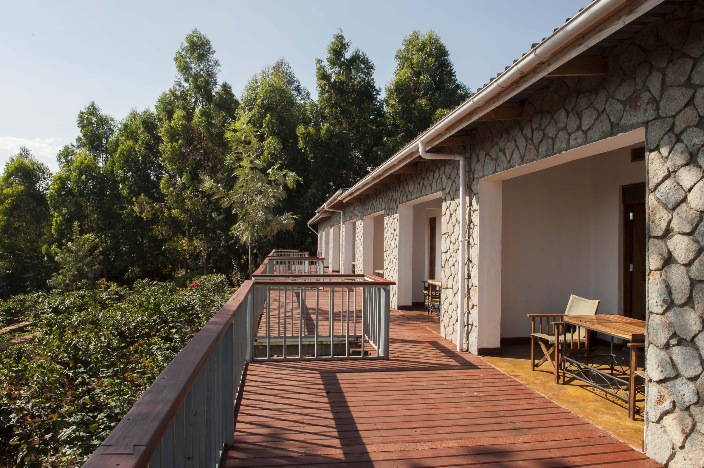 Garden View room