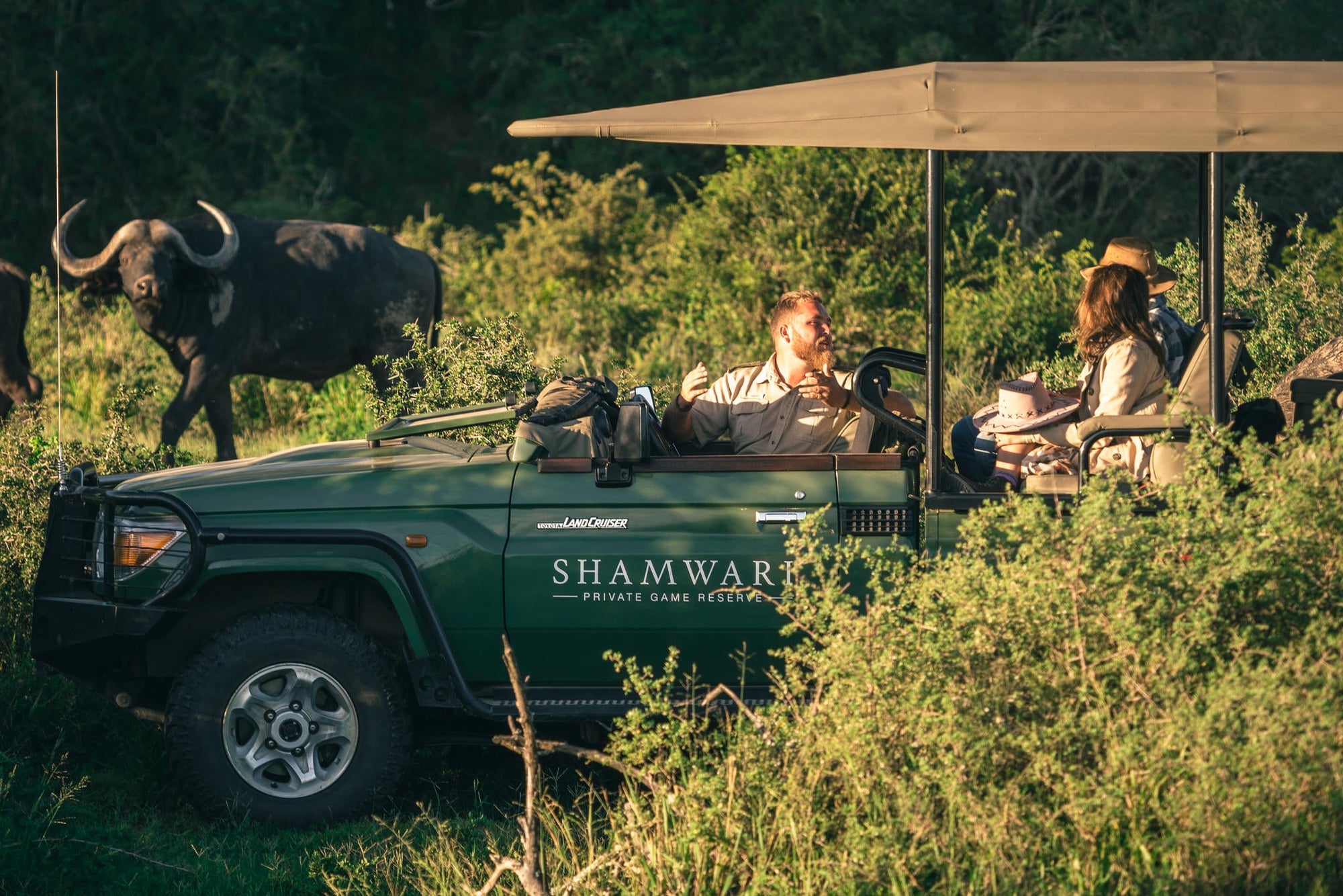 Game Drives gallery image 4