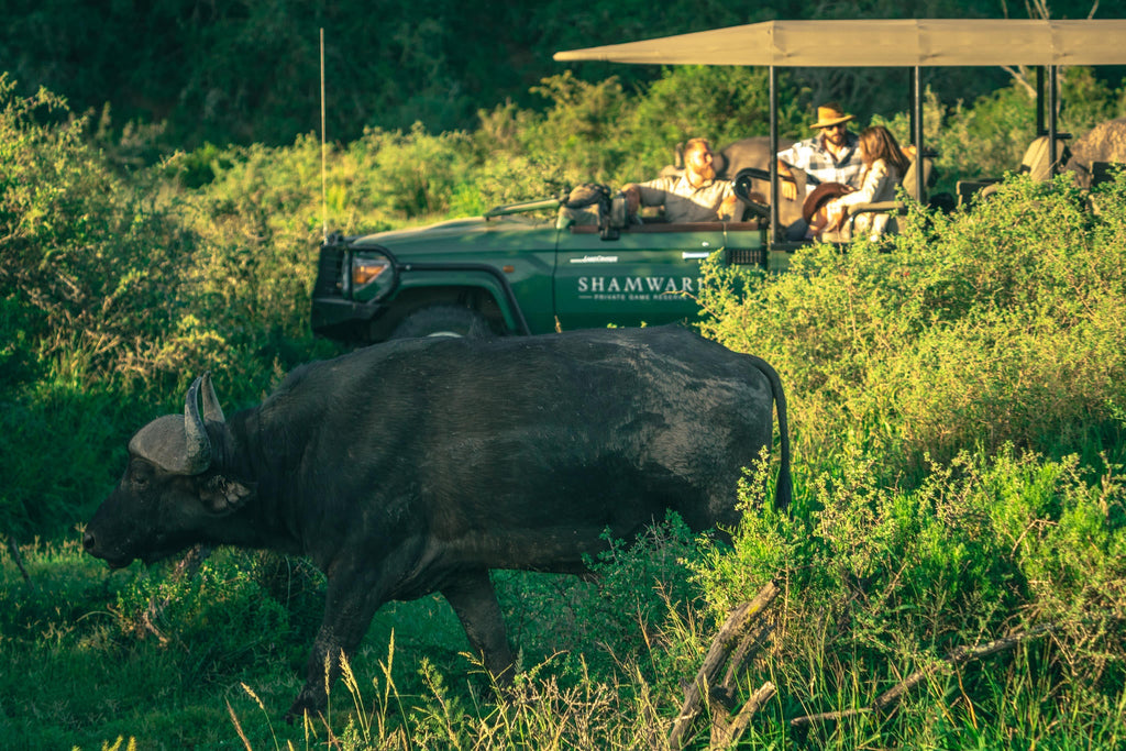 Game Drives gallery image 2