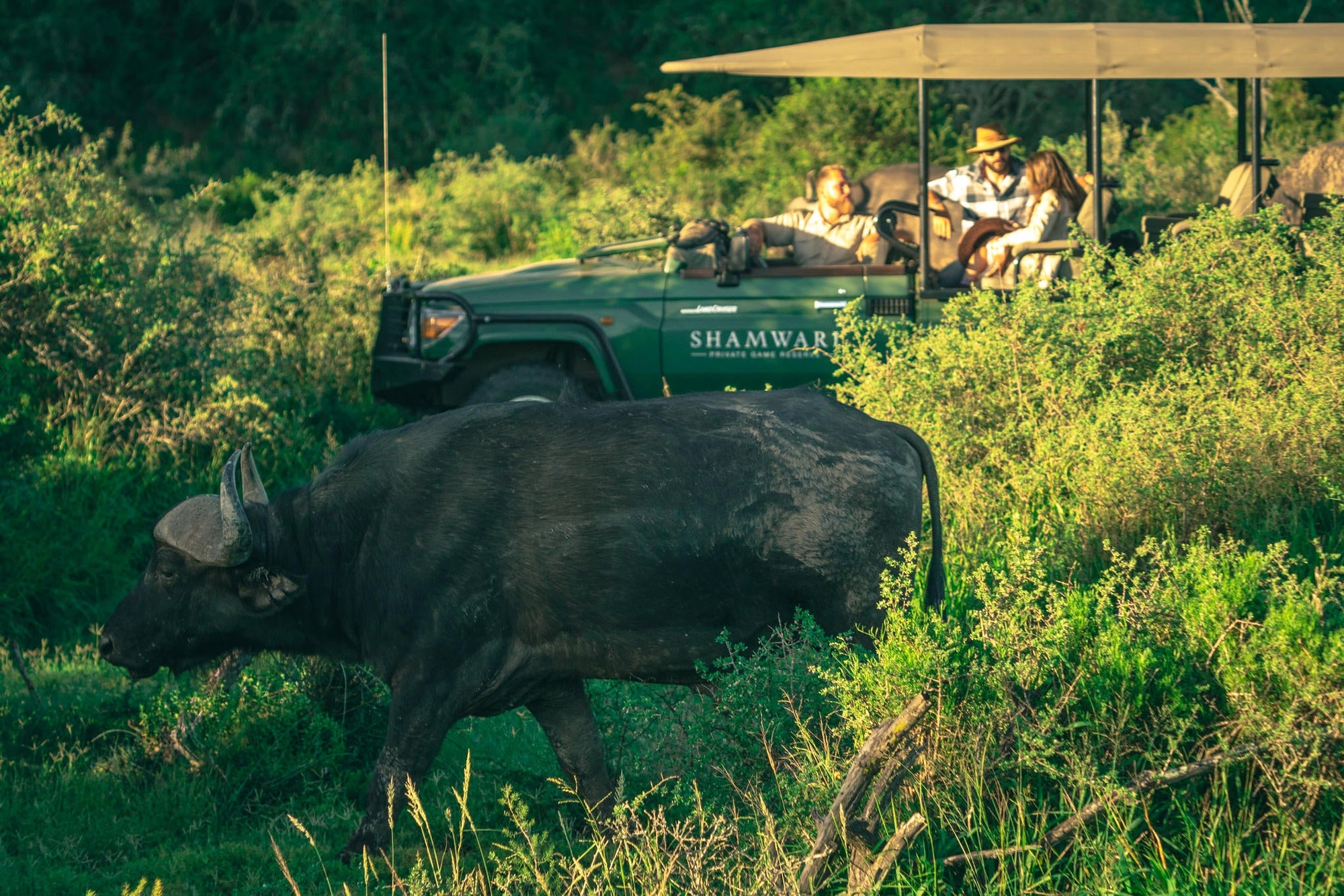 Game Drives gallery image 2