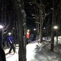 Nocturnal Adventure Expedition gallery image 1