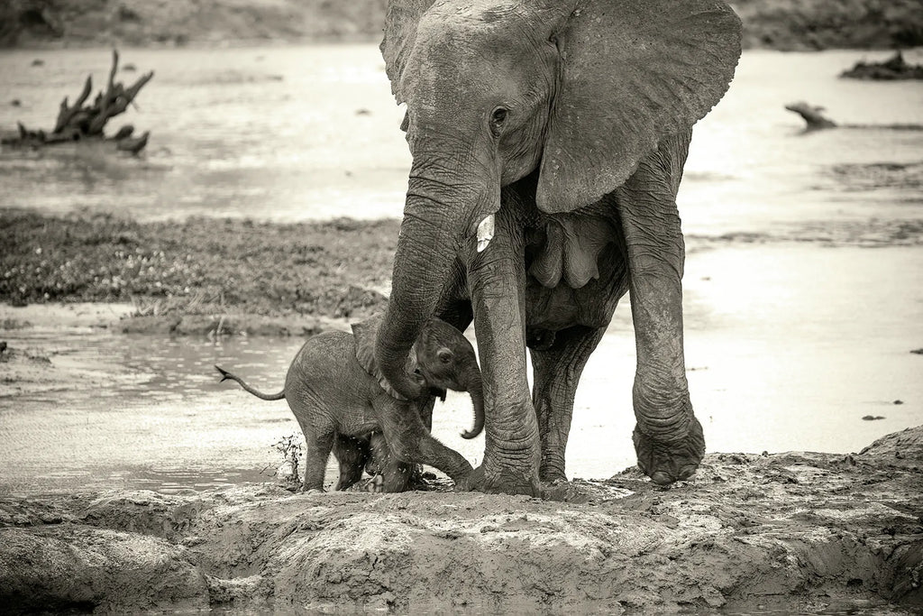 Ghoha Hills at Ghoha Hills Savuti Lodge, Savuti - Chobe National Park, Botswana.