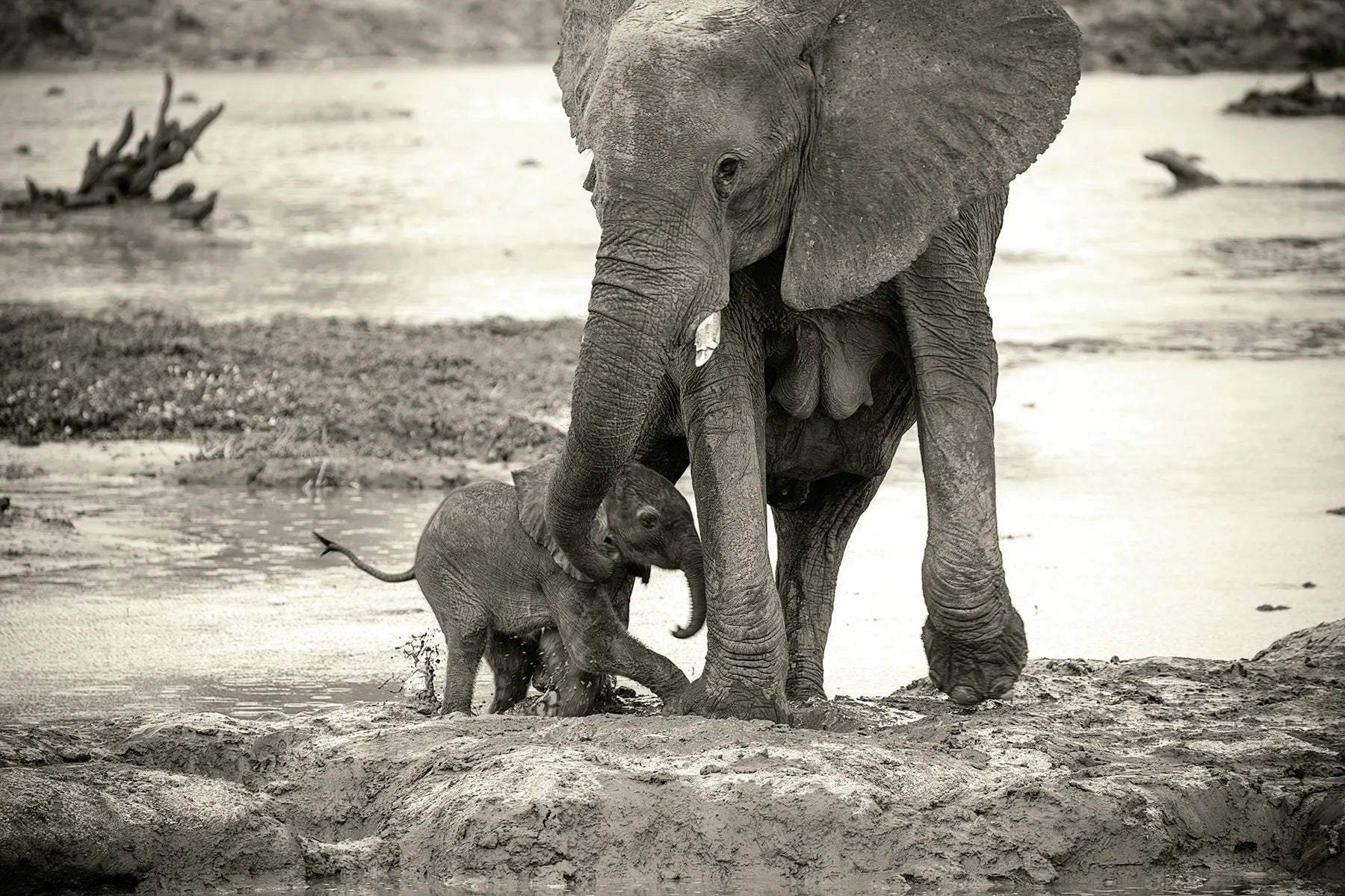 Ghoha Hills at Ghoha Hills Savuti Lodge, Savuti - Chobe National Park, Botswana.