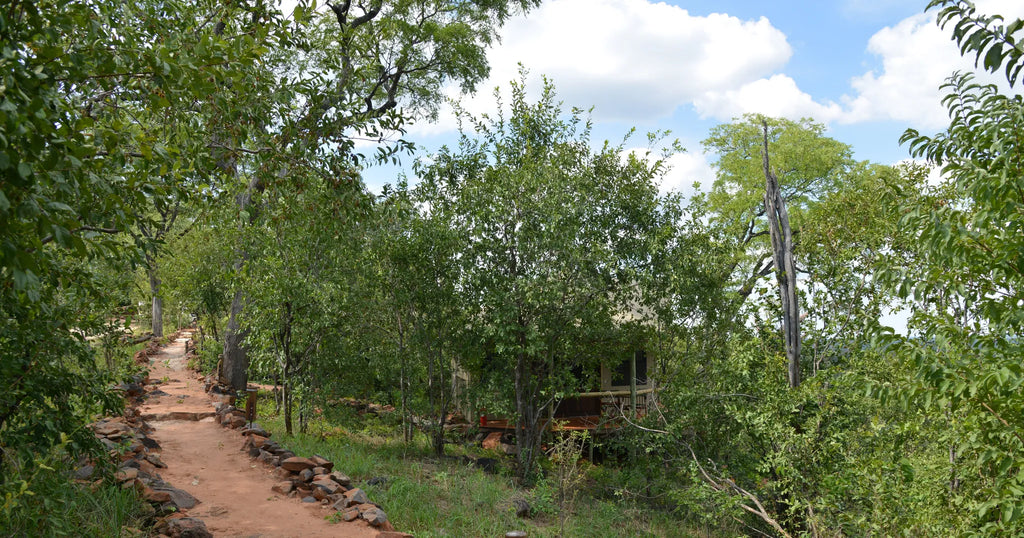 Room gallery image 4.