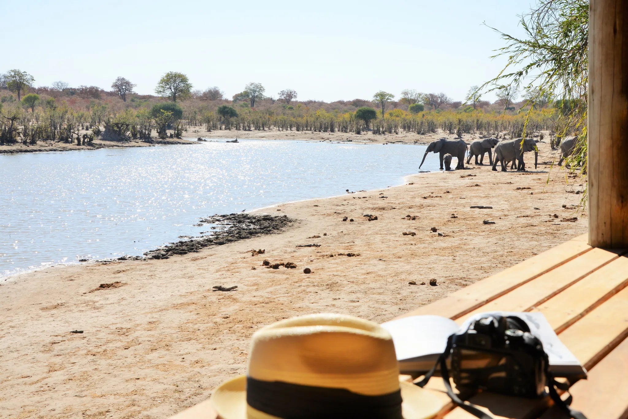 Ghoha Hills at Ghoha Hills Savuti Lodge, Savuti - Chobe National Park, Botswana.