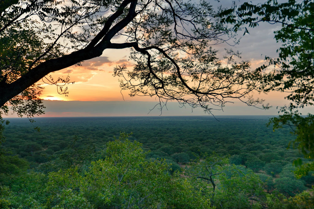 View from tents at Ghoha Hills Savuti Lodge, Savuti - Chobe National Park, Botswana.