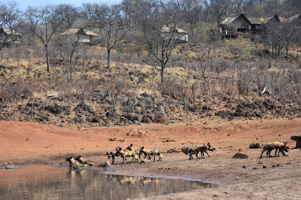 Ghoha Hills at Ghoha Hills Savuti Lodge, Savuti - Chobe National Park, Botswana.