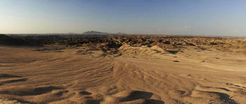 Desert Exploration gallery image 3
