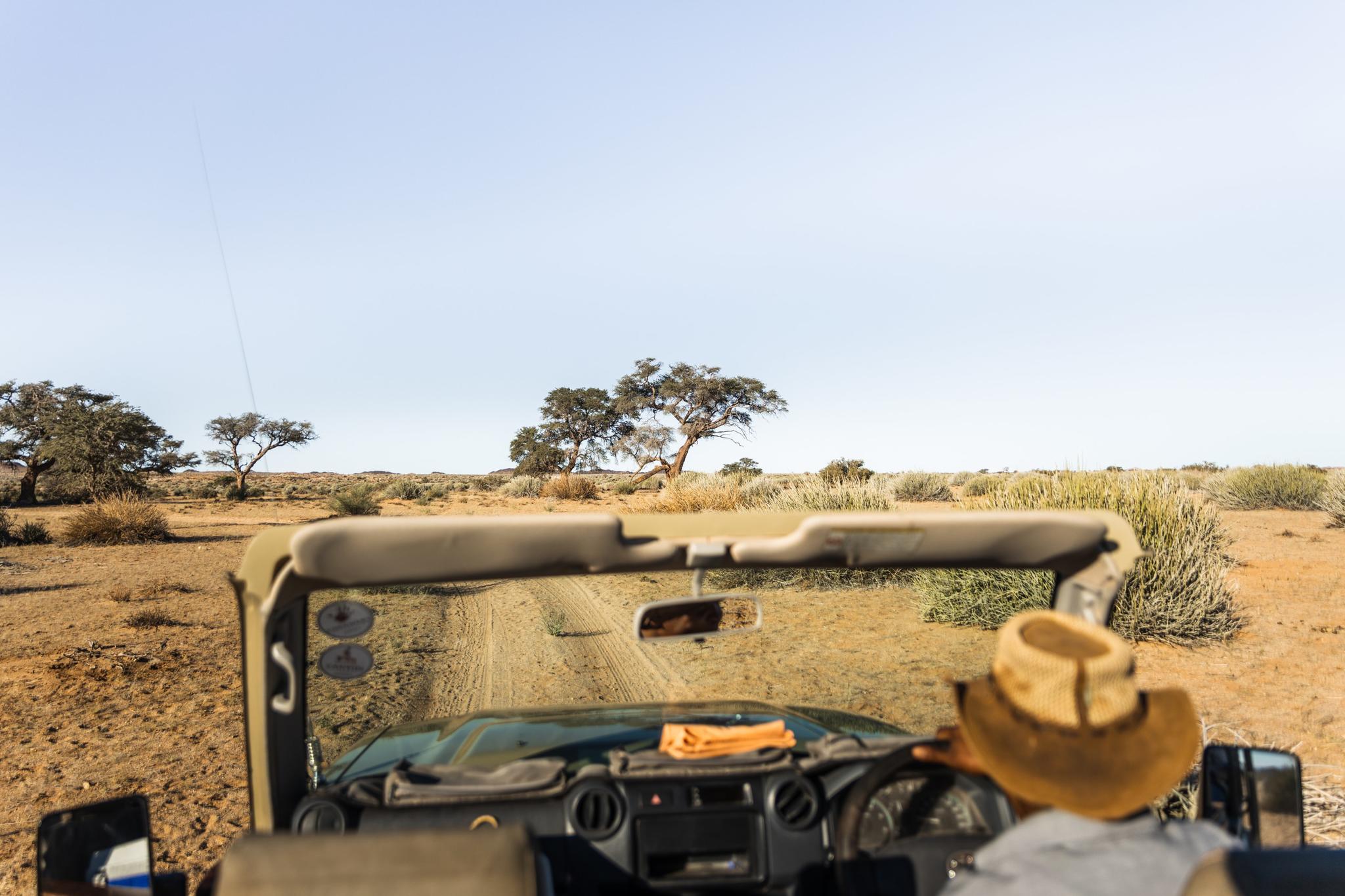 Sundowner Drive in Gondwana Canyon Park