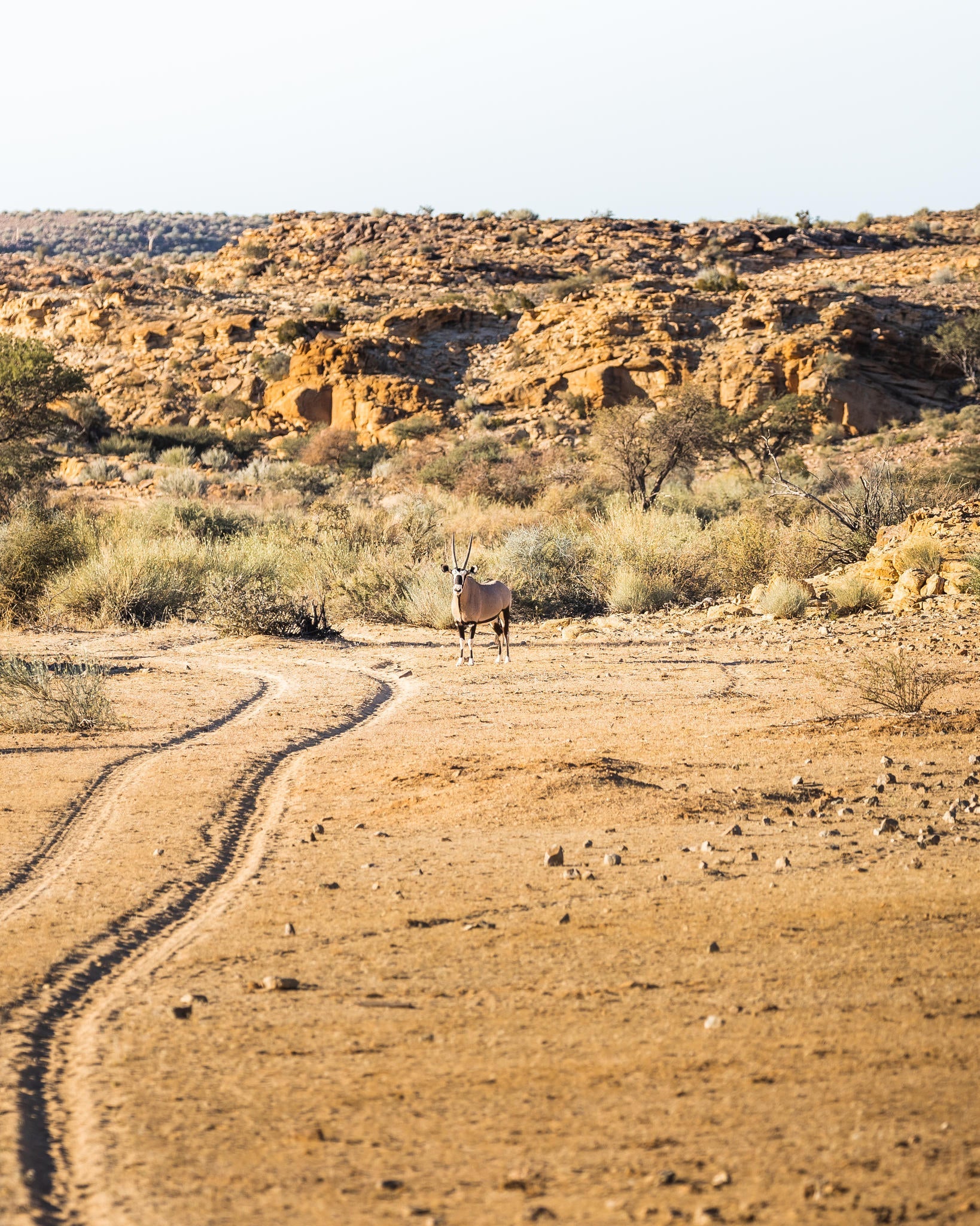 Sundowner Drive in Gondwana Canyon Park gallery image 2