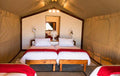 Safari Tents  gallery image 1