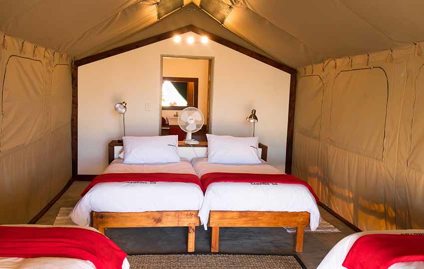 Safari Tents