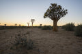 Morning Hike gallery image 1
