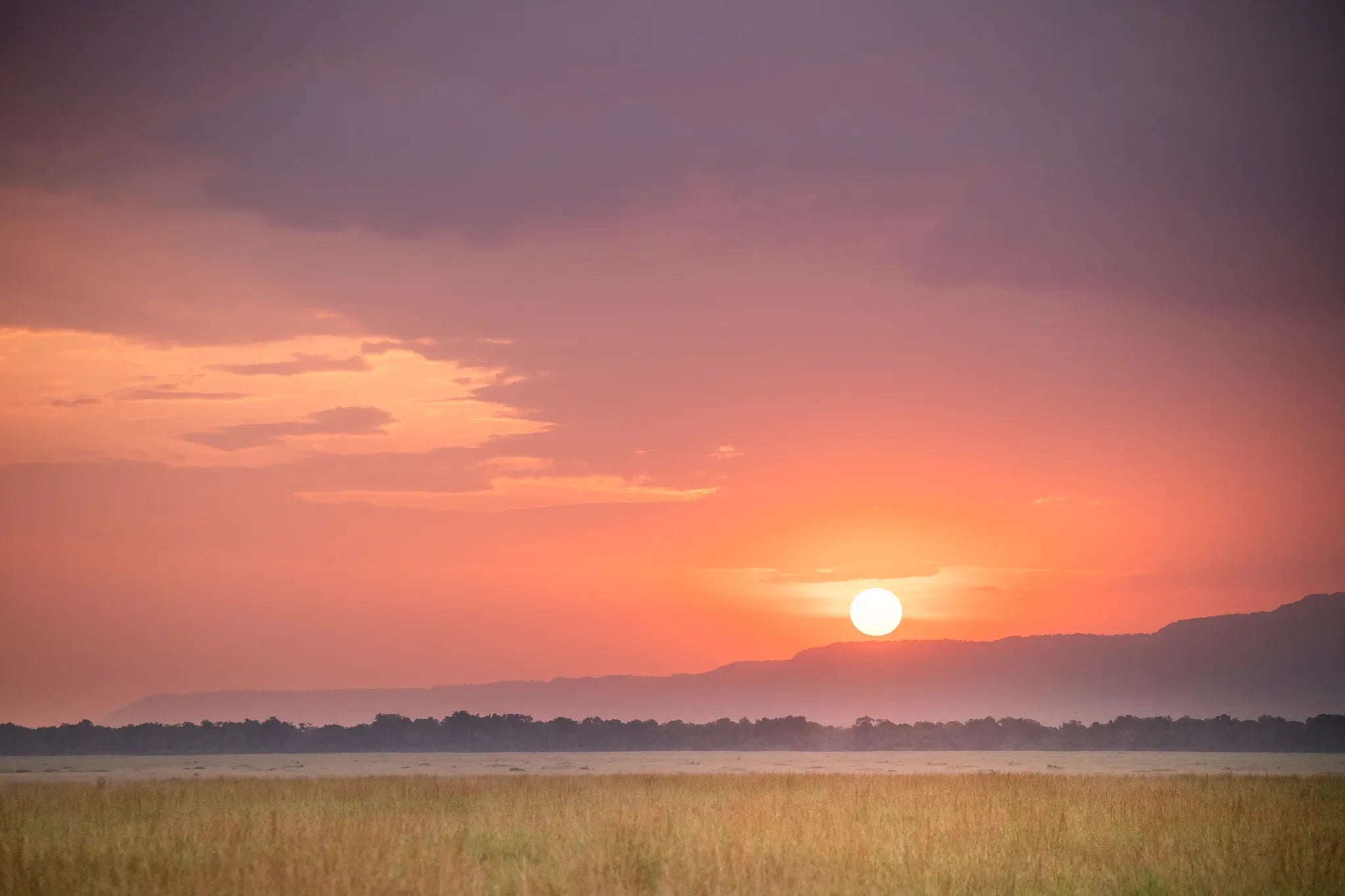 Governors' Camp at Governors' Camp, Masai Mara National Reserve, Kenya.